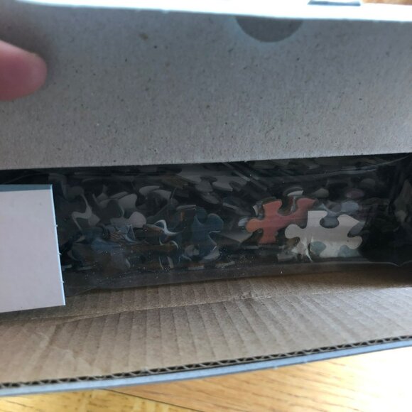 Sure Lox 1000 Pc Puzzle Peace on Earth Winter Wonderland NIB Sleigh Ride - Picture 4 of 5